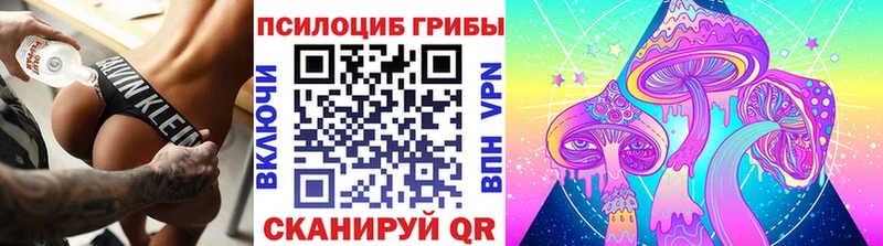 OMG маркетплейс  Починок  Псилоцибиновые грибы Magic Shrooms 